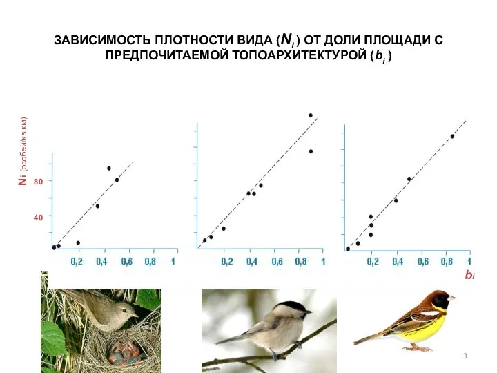 ЗАВИСИМОСТЬ ПЛОТНОСТИ ВИДА (Ni ) ОТ ДОЛИ ПЛОЩАДИ С ПРЕДПОЧИТАЕМОЙ ТОПОАРХИТЕКТУРОЙ (bi