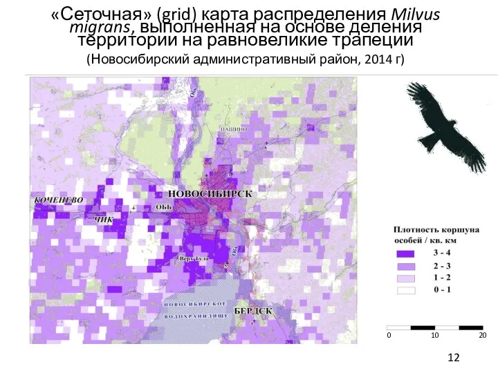 12 «Сеточная» (grid) карта распределения Milvus migrans, выполненная на основе деления территории