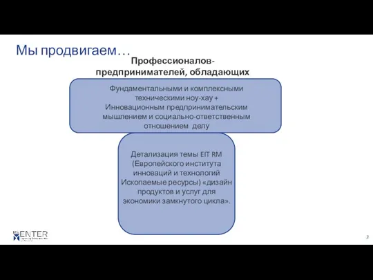 Мы продвигаем… Профессионалов-предпринимателей, обладающих Детализация темы EIT RM (Европейского института инноваций и