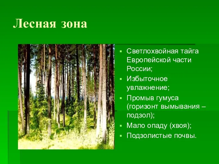 Лесная зона Светлохвойная тайга Европейской части России; Избыточное увлажнение; Промыв гумуса (горизонт