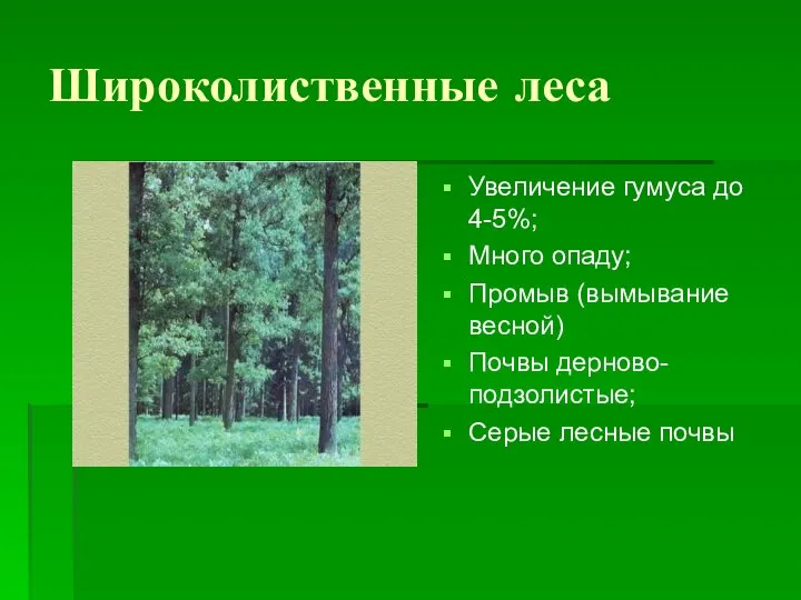 Широколиственные леса Увеличение гумуса до 4-5%; Много опаду; Промыв (вымывание весной) Почвы дерново-подзолистые; Серые лесные почвы