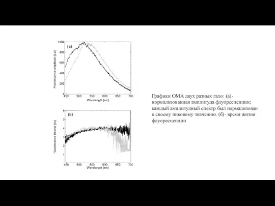 Графики OMA двух разных гало: (а)-нормализованная амплитуда флуоресценции; каждый амплитудный спектр был