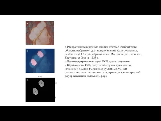 а-Раскрашенное в режиме онлайн цветное изображение области, выбранной для нашего анализа флуоресценции,