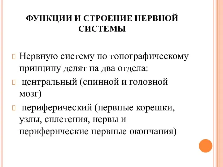 ФУНКЦИИ И СТРОЕНИЕ НЕРВНОЙ СИСТЕМЫ Нервную систему по топографическому принципу делят на