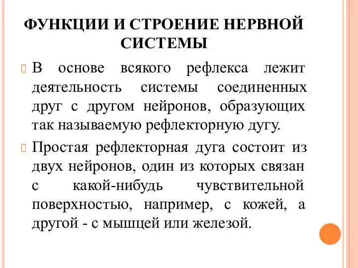 ФУНКЦИИ И СТРОЕНИЕ НЕРВНОЙ СИСТЕМЫ В основе всякого рефлекса лежит деятельность системы