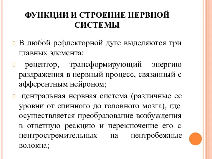 ФУНКЦИИ И СТРОЕНИЕ НЕРВНОЙ СИСТЕМЫ В любой рефлекторной дуге выделяются три главных