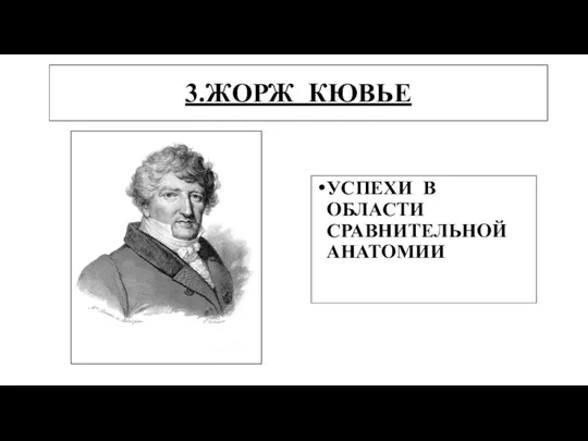 3.ЖОРЖ КЮВЬЕ УСПЕХИ В ОБЛАСТИ СРАВНИТЕЛЬНОЙ АНАТОМИИ