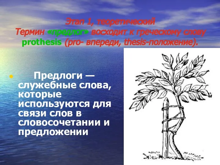 Этап 1, теоретический Термин «предлог» восходит к греческому слову prothesis (pro- впереди,