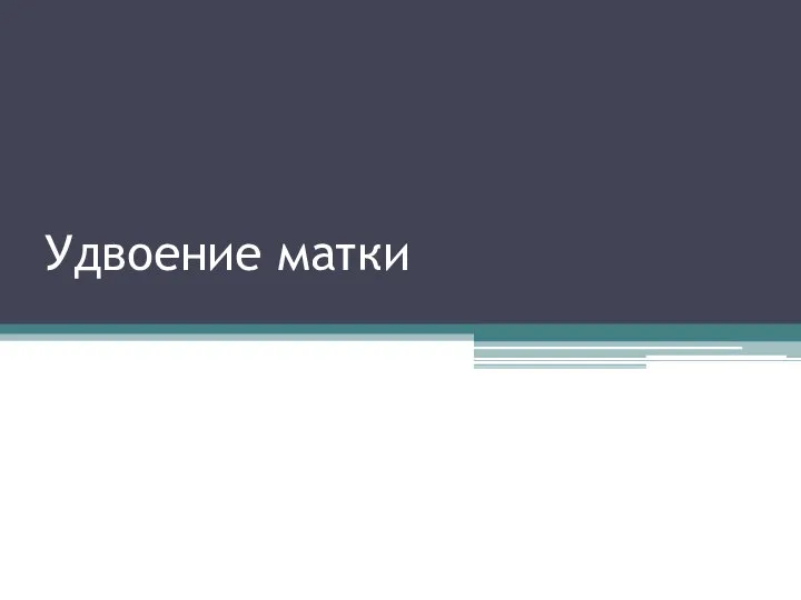 Удвоение матки