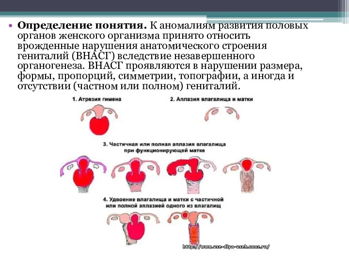 Определение понятия. К аномалиям развития половых органов женского организма принято относить врожденные