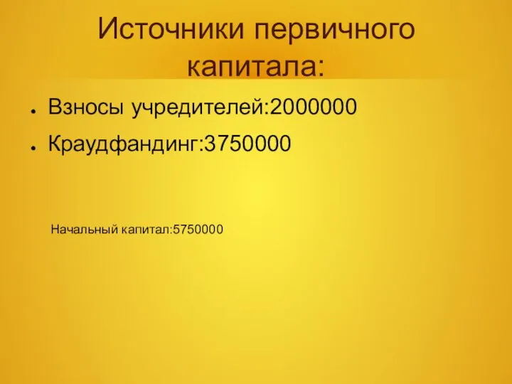 Источники первичного капитала: Взносы учредителей:2000000 Краудфандинг:3750000 Начальный капитал:5750000