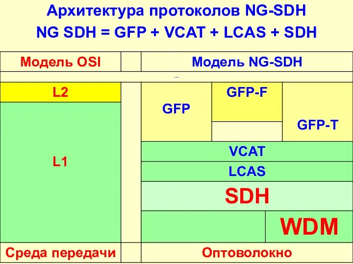 Архитектура протоколов NG-SDH NG SDH = GFP + VCAT + LCAS + SDH