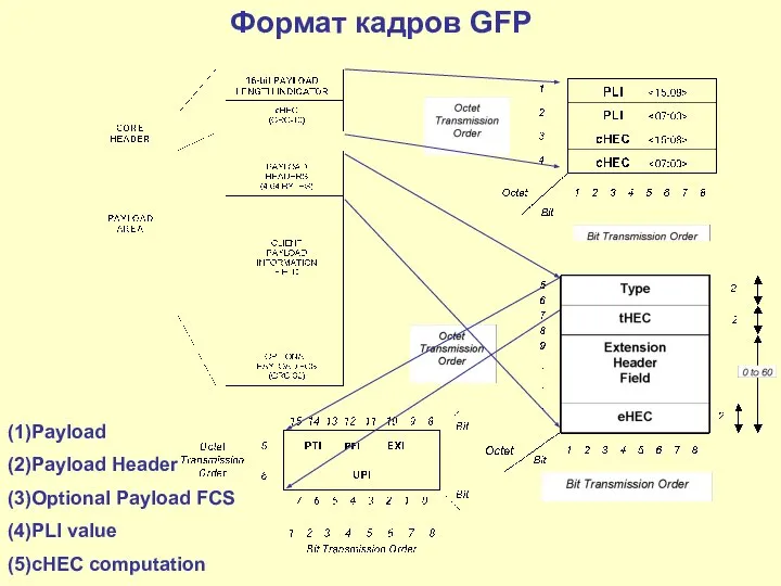 (1)Payload (2)Payload Header (3)Optional Payload FCS (4)PLI value (5)cHEC computation Формат кадров GFP