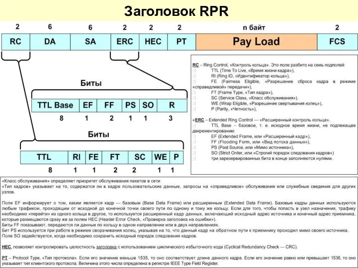 Заголовок RPR