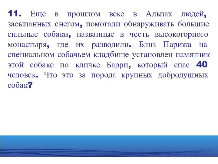 11. Еще в прошлом веке в Альпах людей, засыпанных снегом, помогали обнаруживать