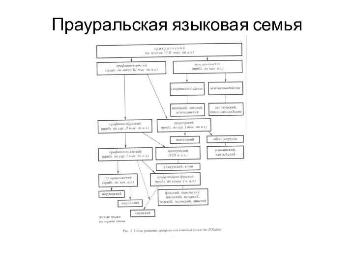 Прауральская языковая семья