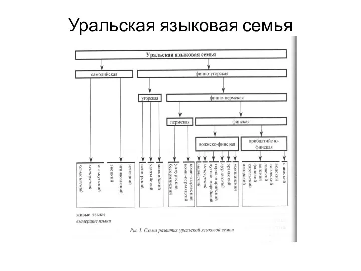 Уральская языковая семья