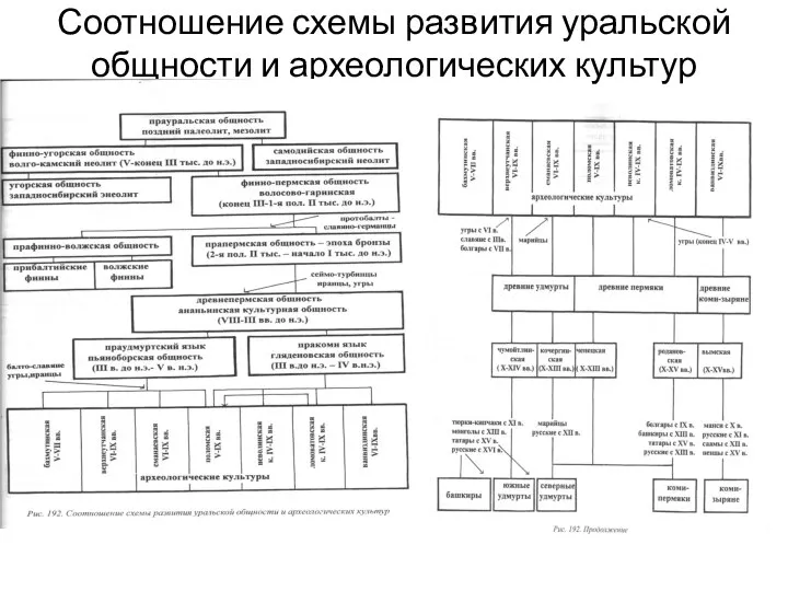 Соотношение схемы развития уральской общности и археологических культур