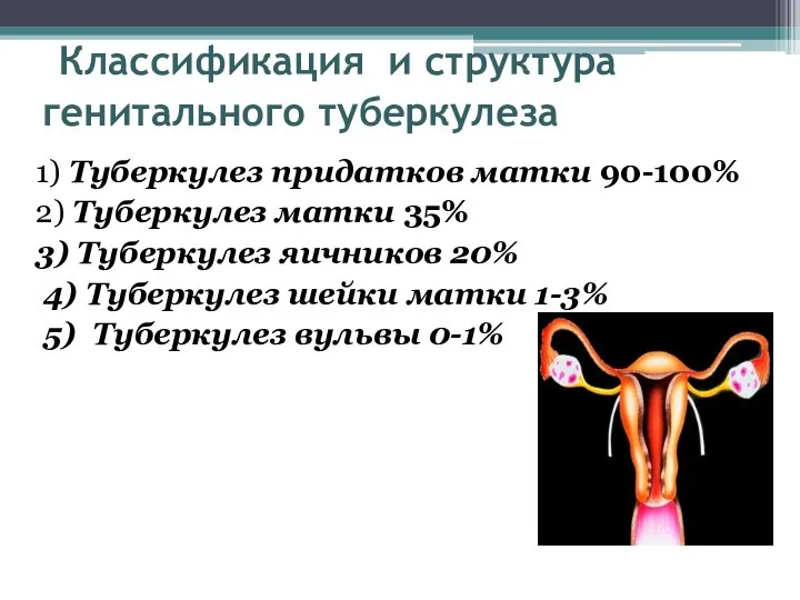Классификация и структура генитального туберкулеза 1) Туберкулез придатков матки 90-100% 2) Туберкулез