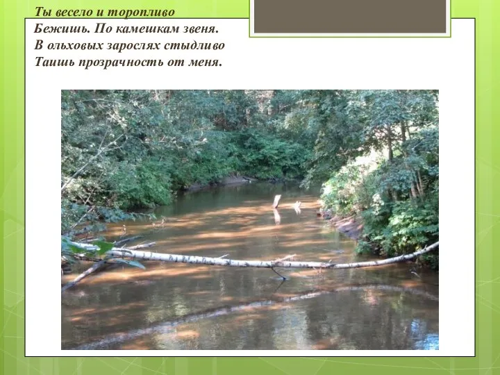 Ты весело и торопливо Бежишь. По камешкам звеня. В ольховых зарослях стыдливо Таишь прозрачность от меня.