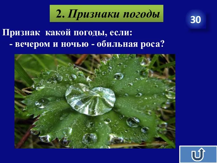 30 2. Признаки погоды Признак какой погоды, если: - вечером и ночью - обильная роса?