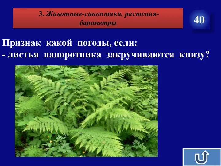 Признак какой погоды, если: - листья папоротника закручиваются книзу? 3. Животные-синоптики, растения- барометры 40