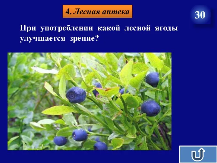 4. Лесная аптека 30 При употреблении какой лесной ягоды улучшается зрение?