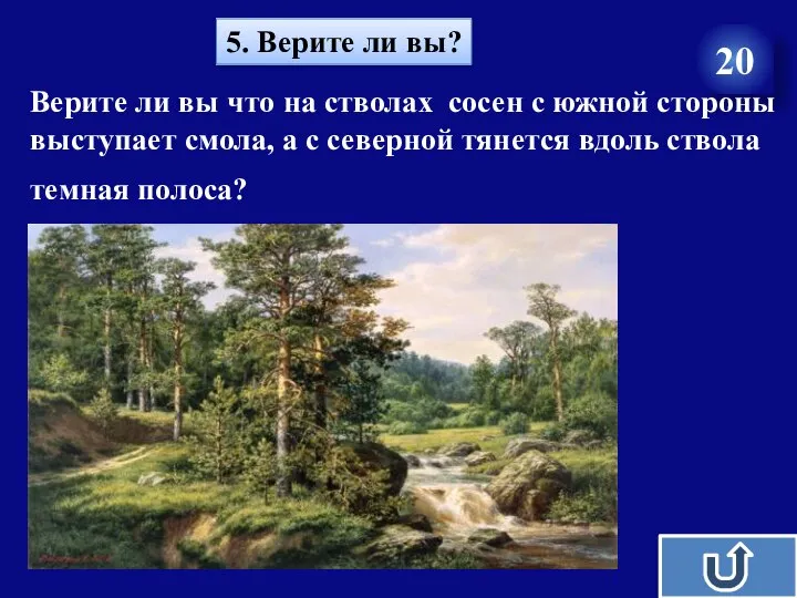 5. Верите ли вы? 20 Верите ли вы что на стволах сосен