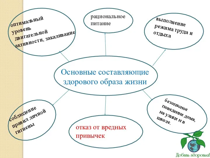 Основные составляющие здорового образа жизни оптимальный уровень двигательной активности, закаливание рациональное питание