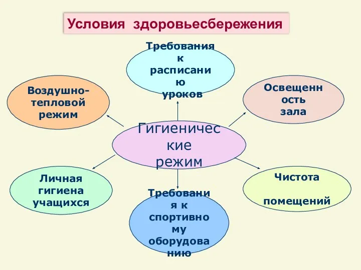 Гигиенические режим Требования к спортивному оборудованию Освещенность зала Требования к расписанию уроков