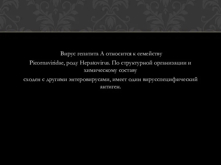 Вирус гепатита А относится к семейству Picornaviridae, роду Hepatovirus. По структурной организации