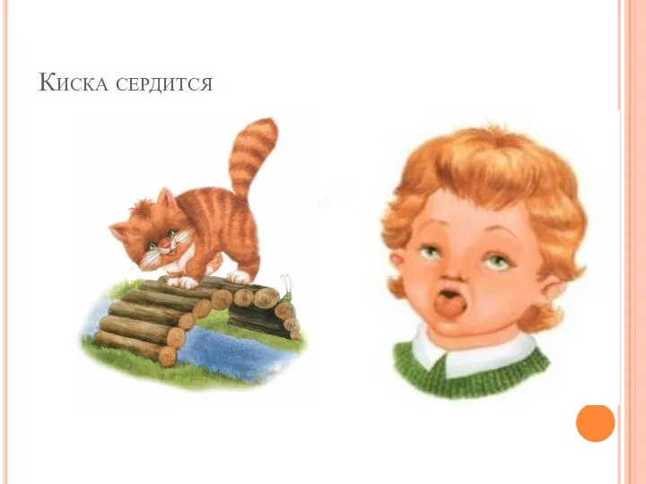 Киска сердится