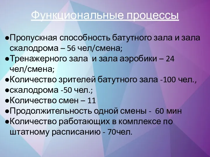 Функциональные процессы Пропускная способность батутного зала и зала скалодрома – 56 чел/смена;