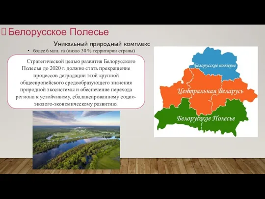 Белорусское Полесье Уникальный природный комплекс Стратегической целью развития Белорусского Полесья до 2020