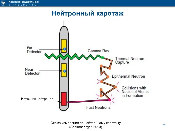 Нейтронный каротаж Схема измерения по нейтронному каротажу (Schlumberger, 2010)