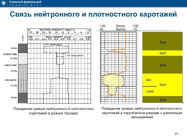 Связь нейтронного и плотностного каротажей Поведение кривых нейтронного и плотностного каротажей в