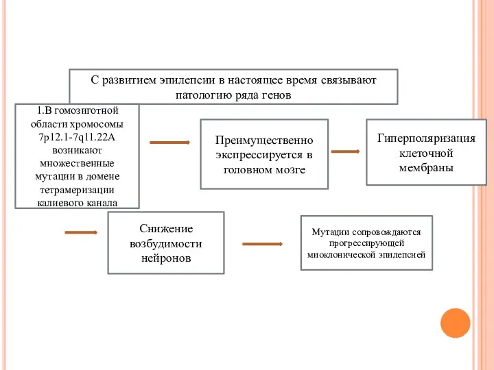 С развитием эпилепсии в настоящее время связывают патологию ряда генов 1.В гомозиготной