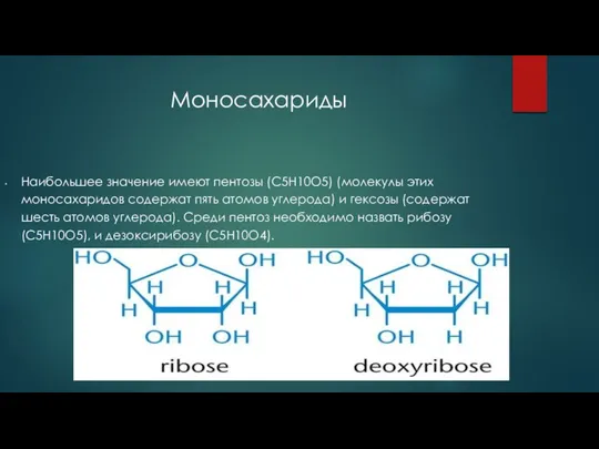 Моносахариды Наибольшее значение имеют пентозы (C5H10O5) (молекулы этих моносахаридов содержат пять атомов