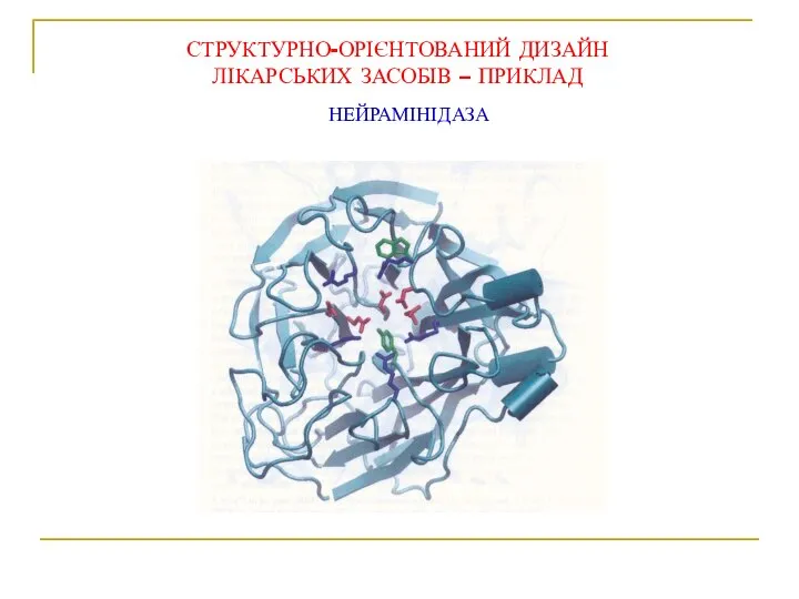 НЕЙРАМІНІДАЗА СТРУКТУРНО-ОРІЄНТОВАНИЙ ДИЗАЙН ЛІКАРСЬКИХ ЗАСОБІВ – ПРИКЛАД