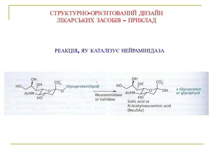 РЕАКЦІЯ, ЯУ КАТАЛІЗУЄ НЕЙРАМІНІДАЗА СТРУКТУРНО-ОРІЄНТОВАНИЙ ДИЗАЙН ЛІКАРСЬКИХ ЗАСОБІВ – ПРИКЛАД