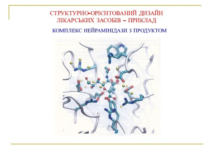 КОМПЛЕКС НЕЙРАМІНІДАЗИ З ПРОДУКТОМ СТРУКТУРНО-ОРІЄНТОВАНИЙ ДИЗАЙН ЛІКАРСЬКИХ ЗАСОБІВ – ПРИКЛАД