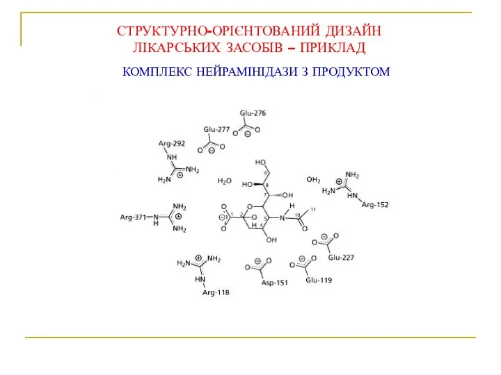 КОМПЛЕКС НЕЙРАМІНІДАЗИ З ПРОДУКТОМ СТРУКТУРНО-ОРІЄНТОВАНИЙ ДИЗАЙН ЛІКАРСЬКИХ ЗАСОБІВ – ПРИКЛАД