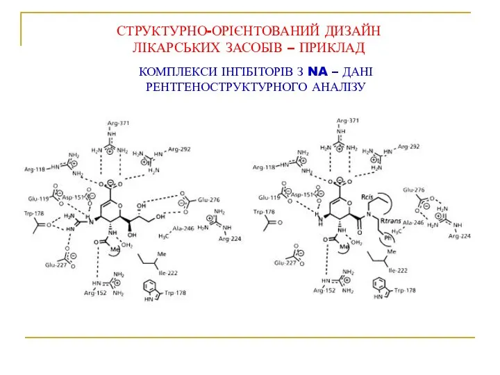 СТРУКТУРНО-ОРІЄНТОВАНИЙ ДИЗАЙН ЛІКАРСЬКИХ ЗАСОБІВ – ПРИКЛАД КОМПЛЕКСИ ІНГІБІТОРІВ З NA – ДАНІ РЕНТГЕНОСТРУКТУРНОГО АНАЛІЗУ
