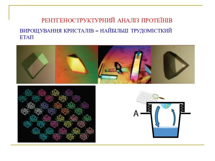 РЕНТГЕНОСТРУКТУРНИЙ АНАЛІЗ ПРОТЕЇНІВ ВИРОЩУВАННЯ КРИСТАЛІВ – НАЙБІЛЬШ ТРУДОМІСТКИЙ ЕТАП