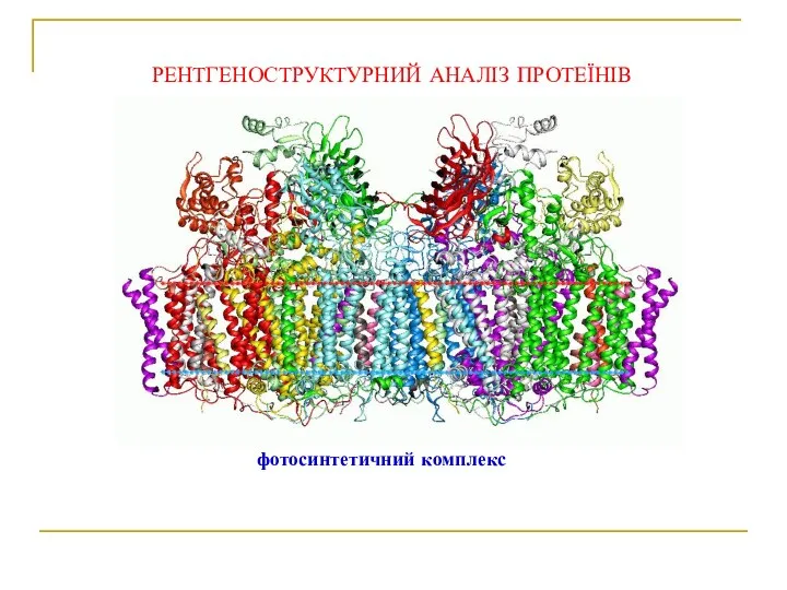 РЕНТГЕНОСТРУКТУРНИЙ АНАЛІЗ ПРОТЕЇНІВ фотосинтетичний комплекс