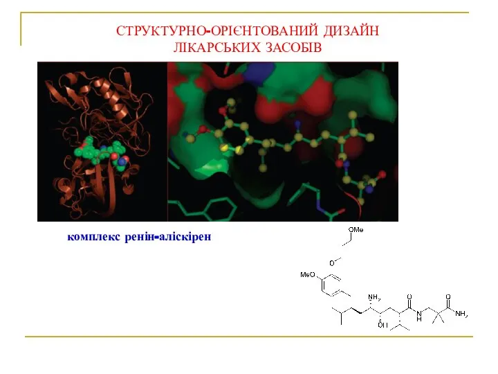 СТРУКТУРНО-ОРІЄНТОВАНИЙ ДИЗАЙН ЛІКАРСЬКИХ ЗАСОБІВ комплекс ренін-аліскірен