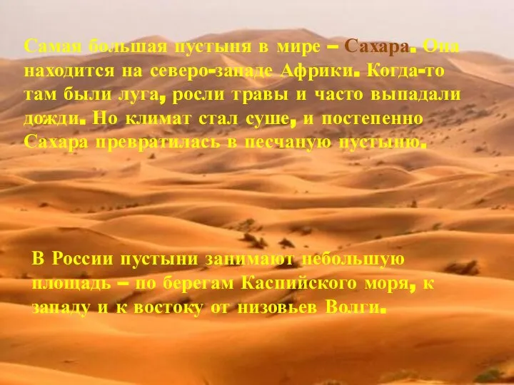 В России пустыни занимают небольшую площадь – по берегам Каспийского моря, к
