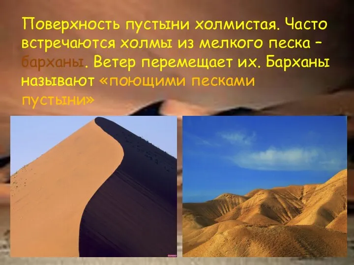 Поверхность пустыни холмистая. Часто встречаются холмы из мелкого песка – барханы. Ветер