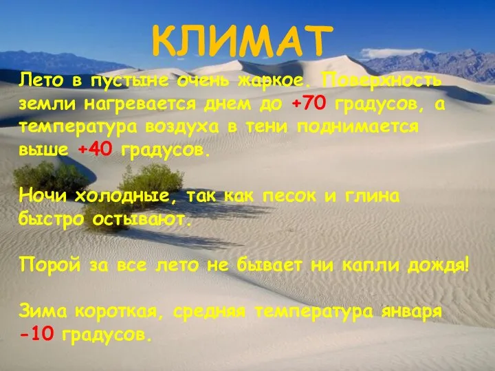 Лето в пустыне очень жаркое. Поверхность земли нагревается днем до +70 градусов,