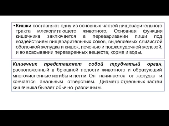 Кишки составляют одну из основных частей пищеварительного тракта млекопитающего животного. Основная функция